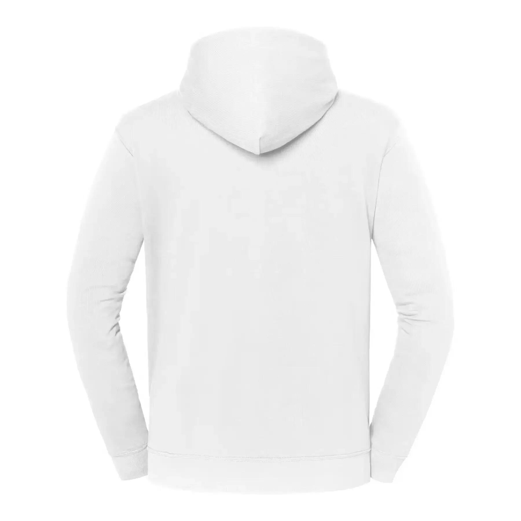 Sudadera con capucha Fruit of the Loom Iconic 250 2/3