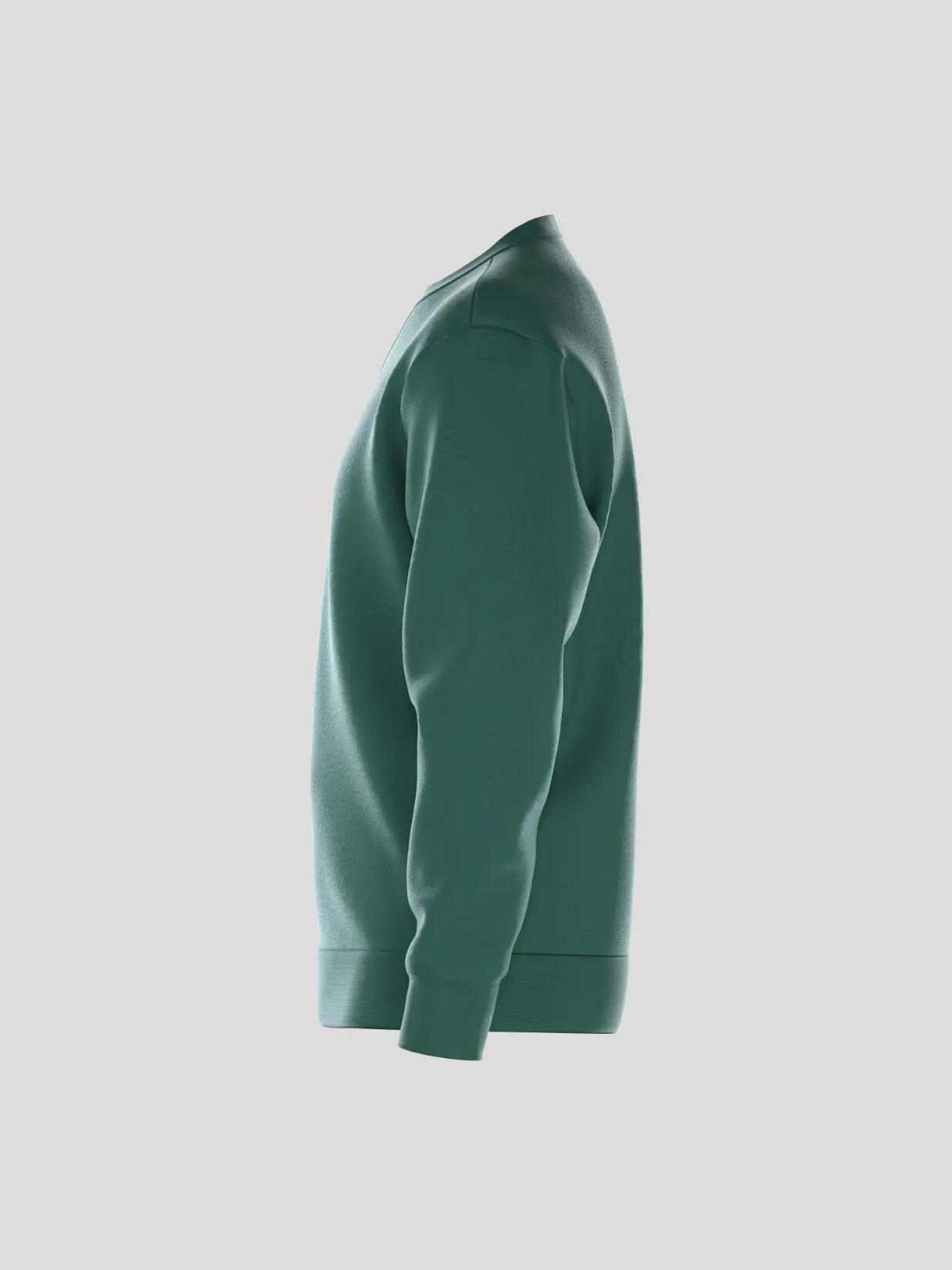 bjorn_borg BORG ESSENTIAL 1 SWEATSHIRT em POSY GREEN 4/4