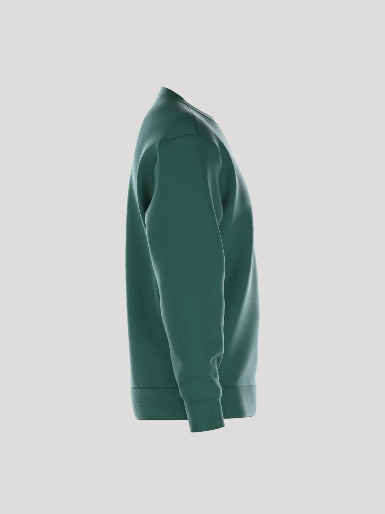 bjorn_borg BORG ESSENTIAL 1 SWEATSHIRT em POSY GREEN 2/4