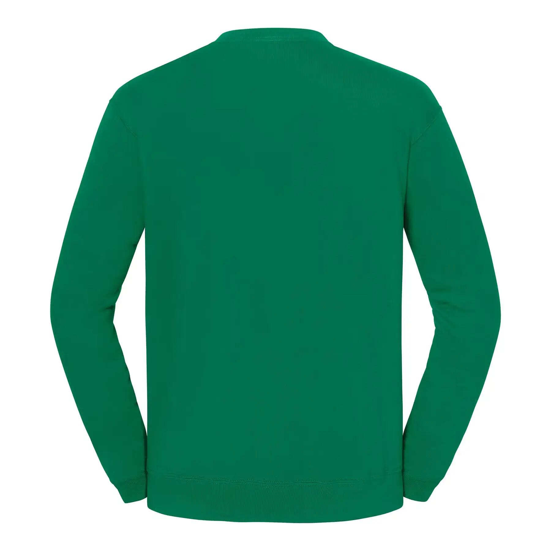 Sudadera Fruit of the Loom Iconic 250 2/3
