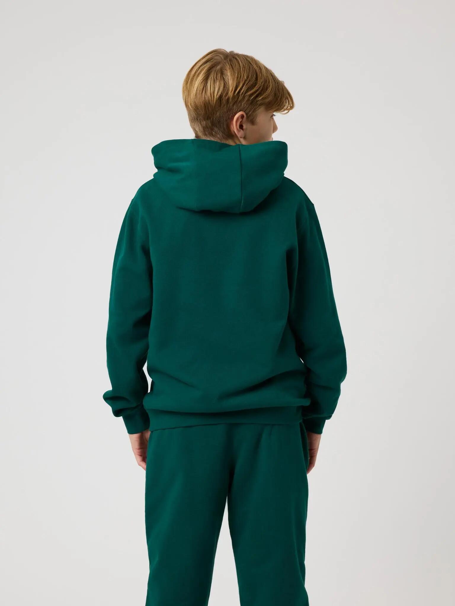 bjorn_borg BORG CLASSIC HOODIE Junior RAIN FOREST 2/4