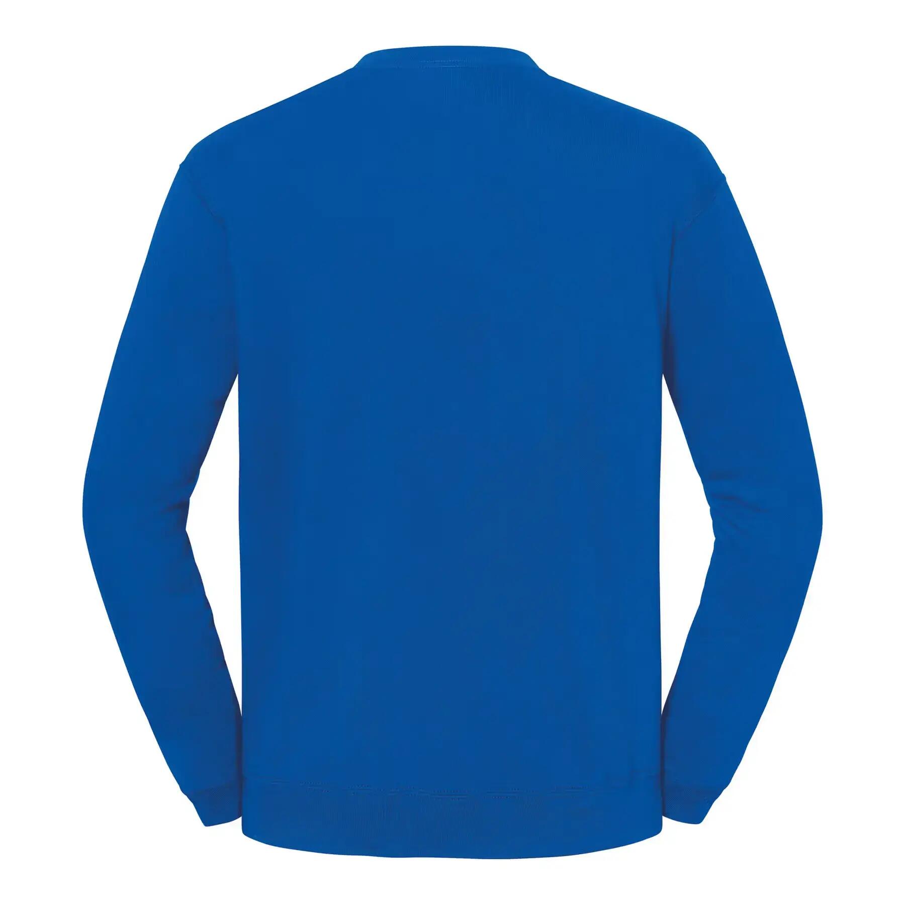 Sweatshirt Fruit of the Loom Iconic 250 2/3