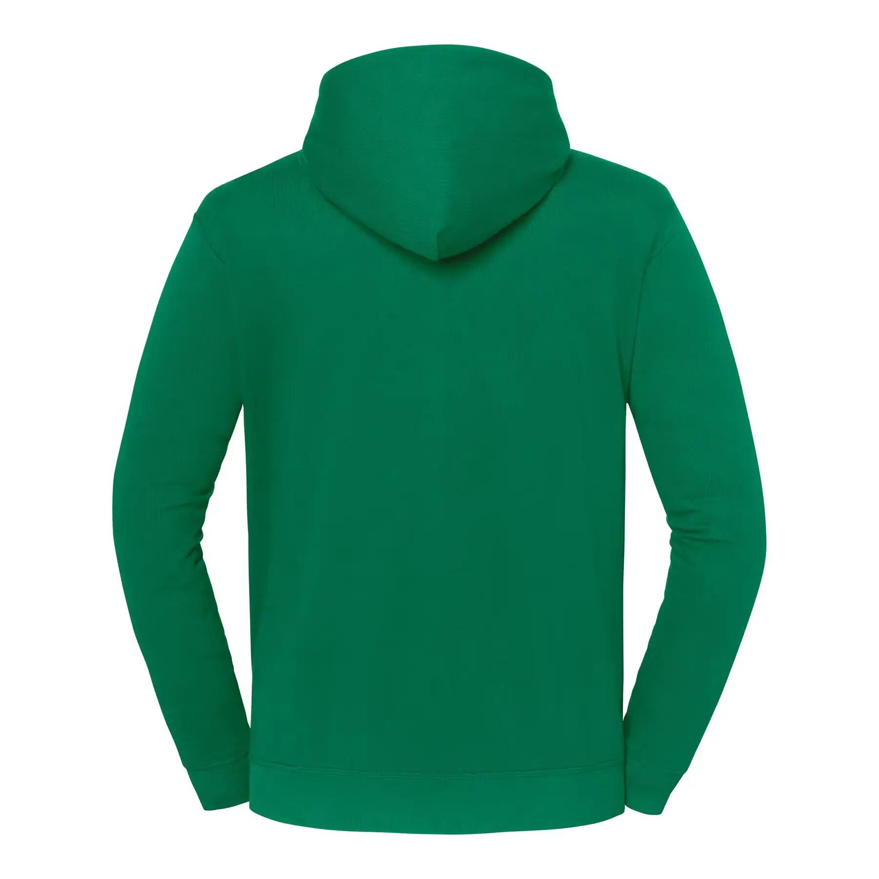 Sudadera con capucha Fruit of the Loom Iconic 250 2/3