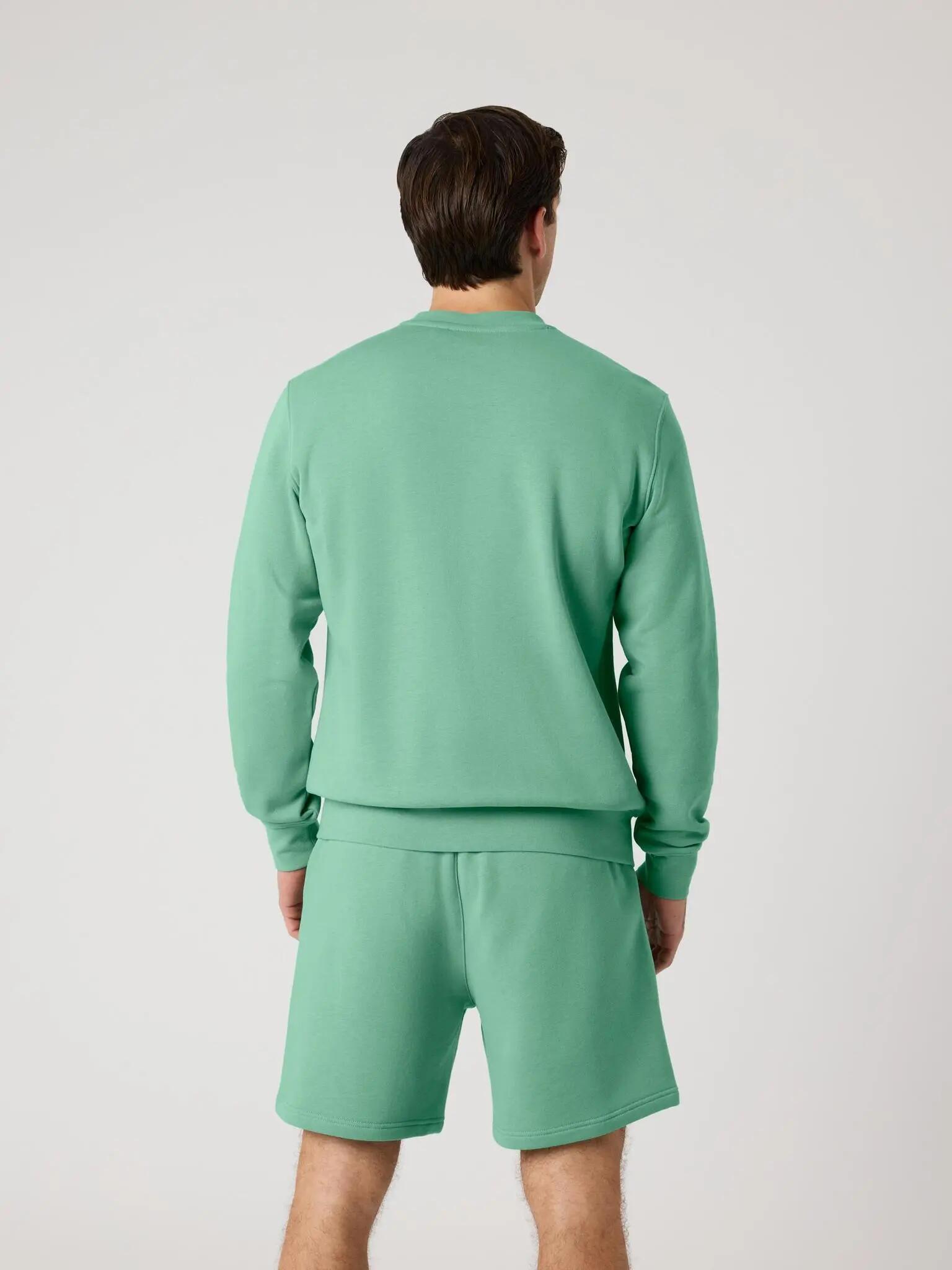 bjorn_borg CENTRE SWEATSHIRT colore MALACHITE GREEN 2/5