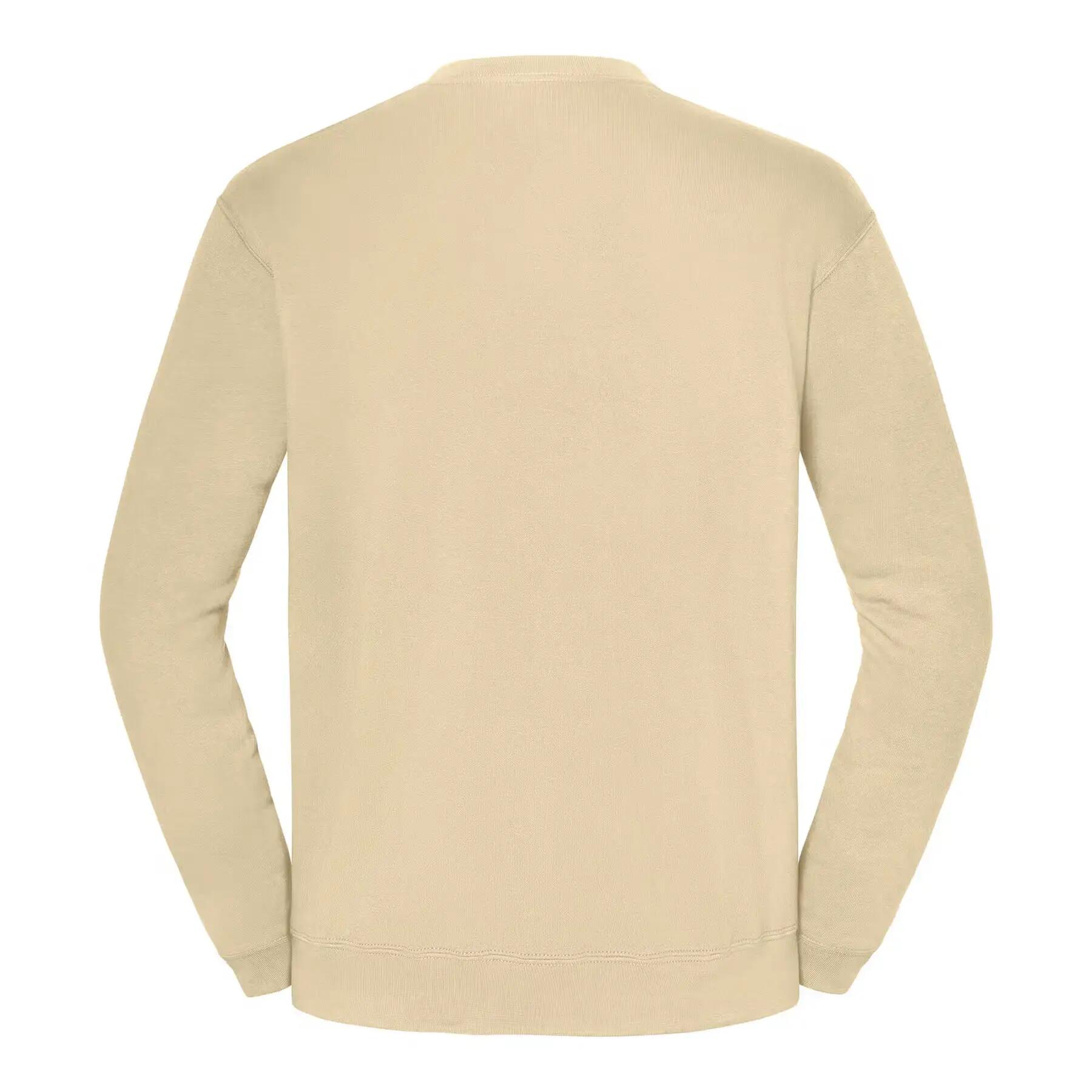Sweatshirt Fruit of the Loom Iconic 250 2/3