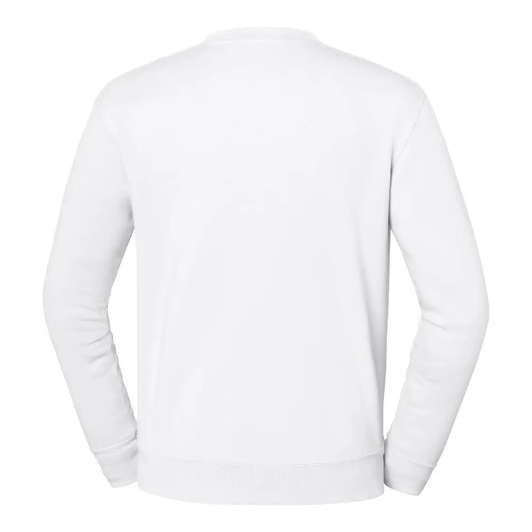 Sweatshirt Fruit of the Loom Iconic 250 2/3