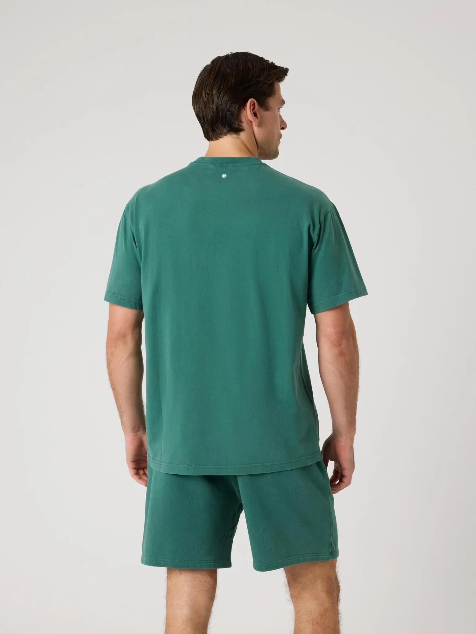 bjorn_borg BORG CLASSIC PRINT T-SHIRT colore MALLARD GREEN 2/5