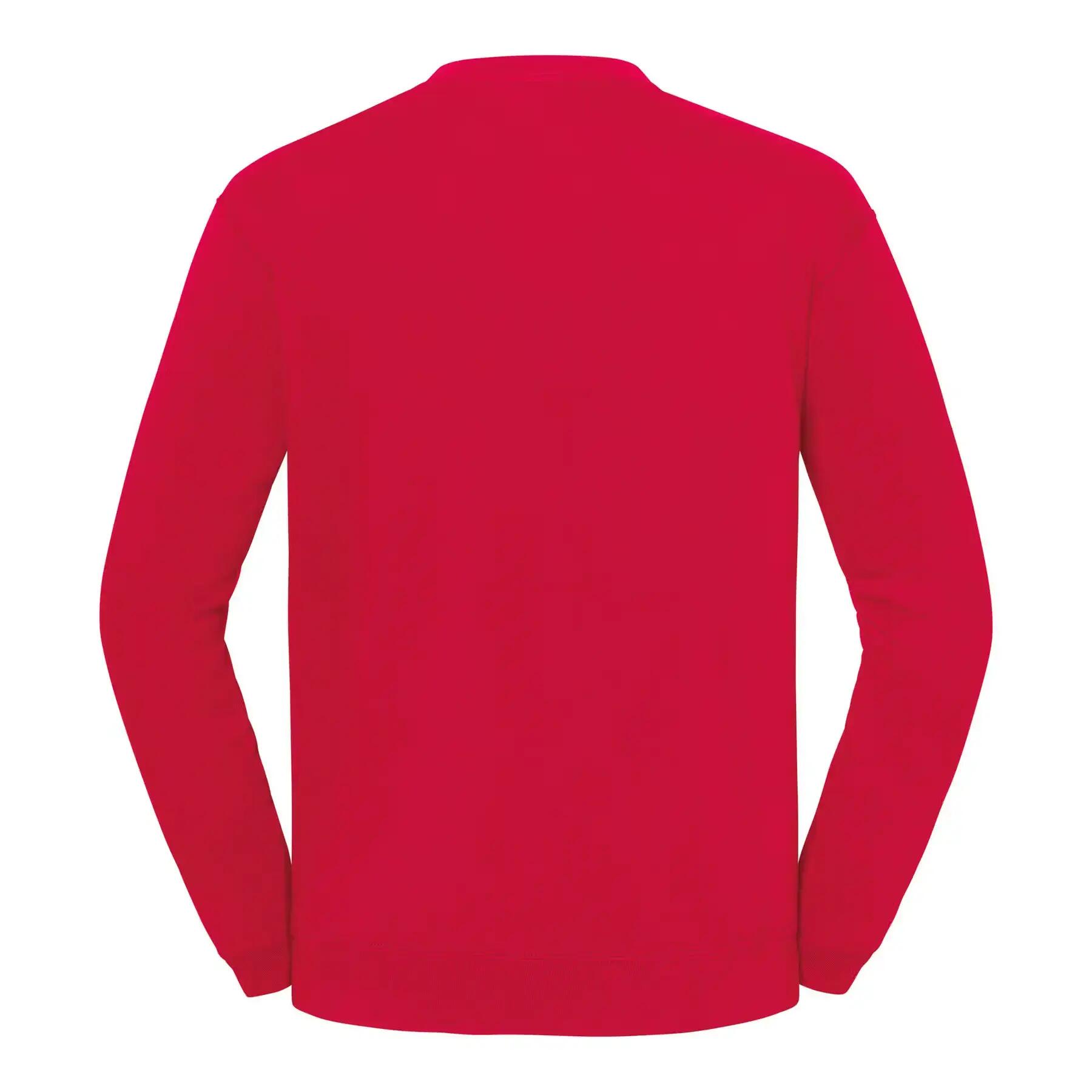 Sweatshirt Fruit of the Loom Iconic 250 2/3