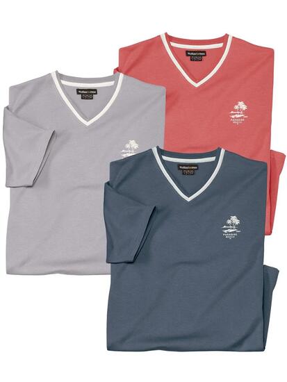 Le Lot de 3 Tee-Shirts Col V Travel