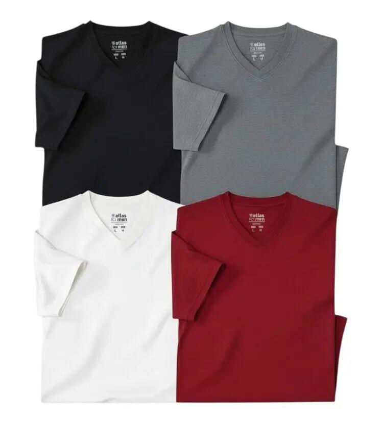 Lot de 4 Tee-Shirts Col V Unis 2/3