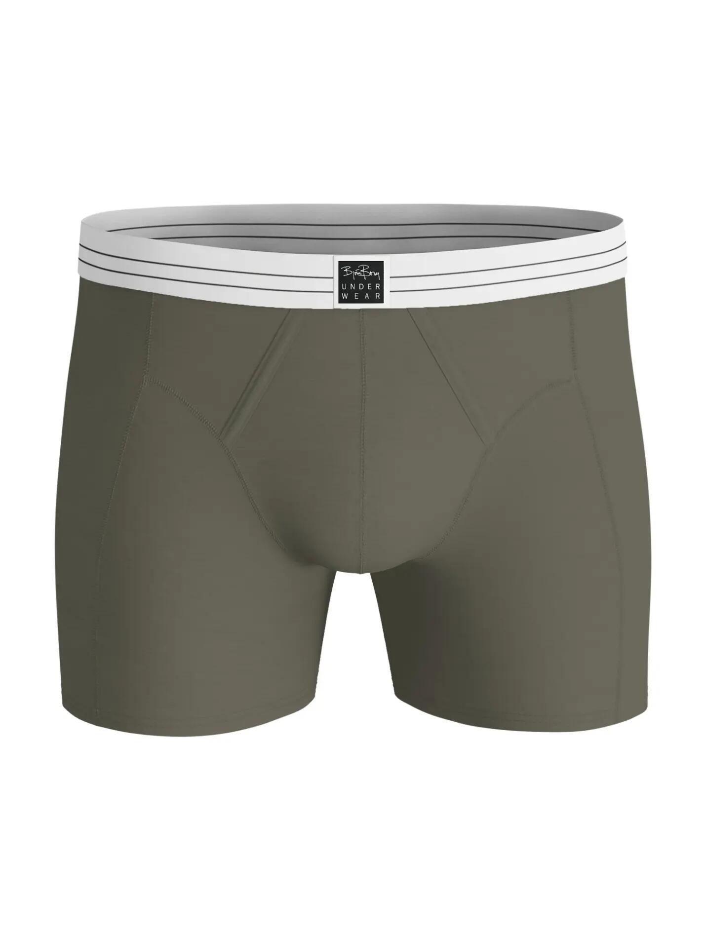 bjorn_borg Boxers VISCOSE COTTON BLEND 2un - Multipack 4/4