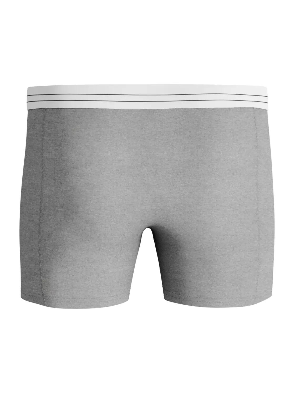 bjorn_borg Boxers VISCOSE COTTON BLEND 2un - Multipack 3/4