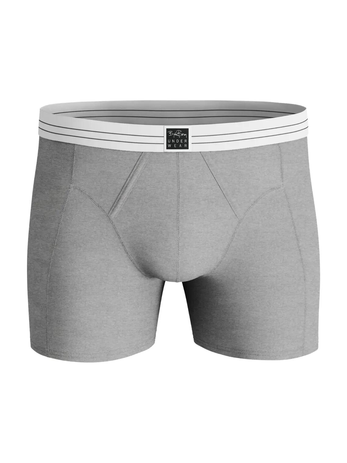 bjorn_borg Boxers VISCOSE COTTON BLEND 2un - Multipack 2/4