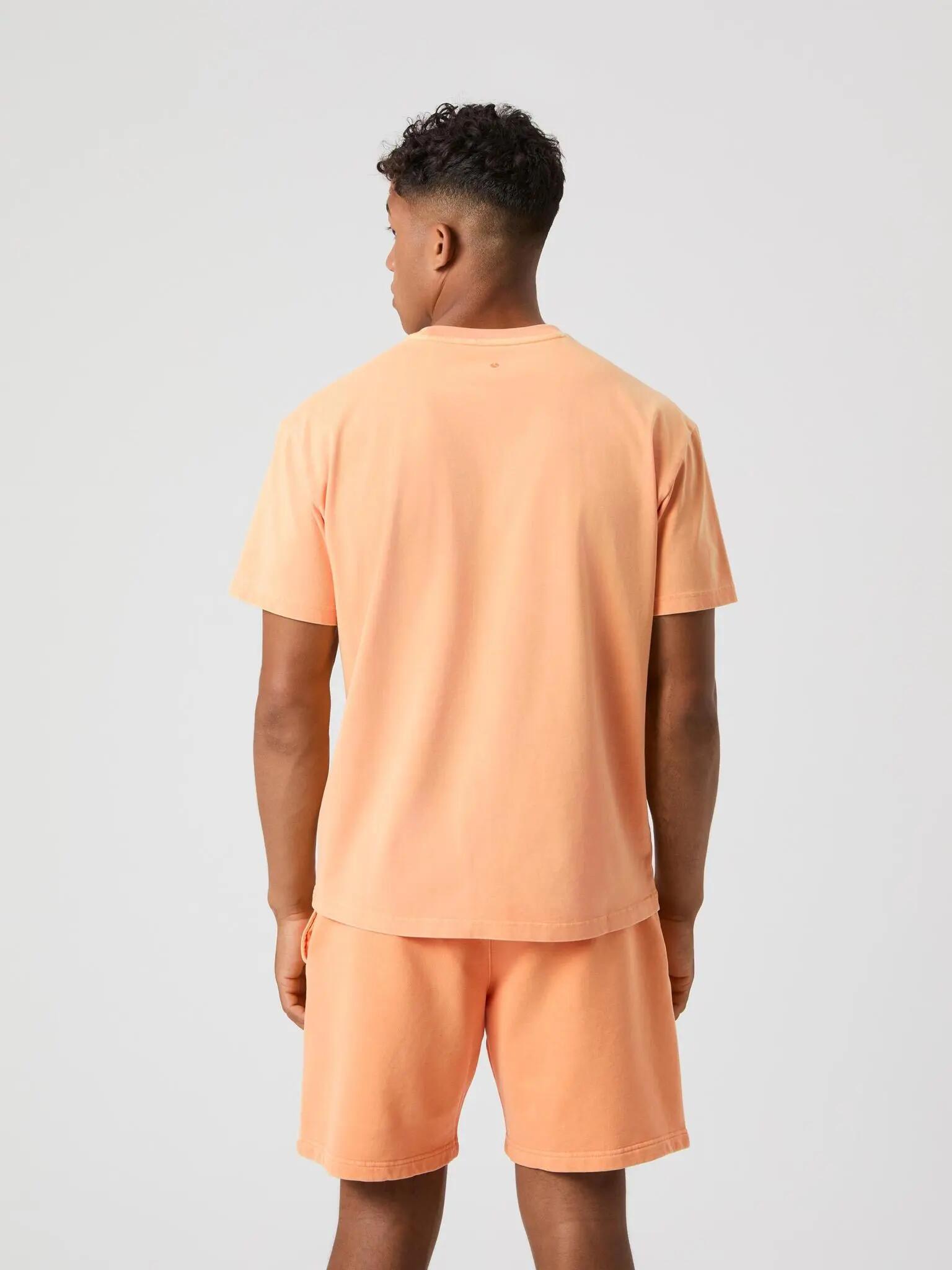 bjorn_borg BORG OVERSIZED WASHED T-SHIRT PAPAYA 2/5