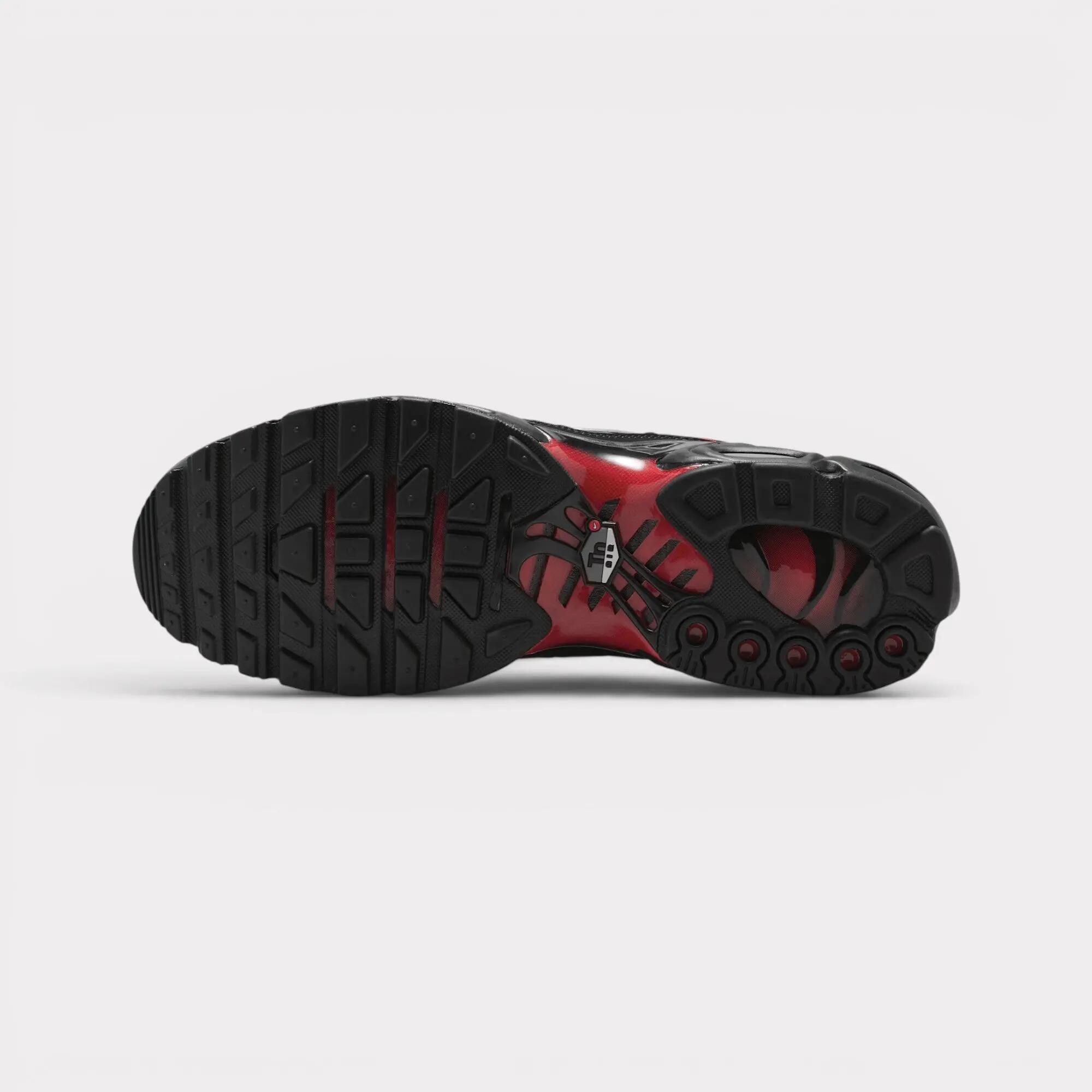 Nike Air Max Plus - Flairemax 6/7