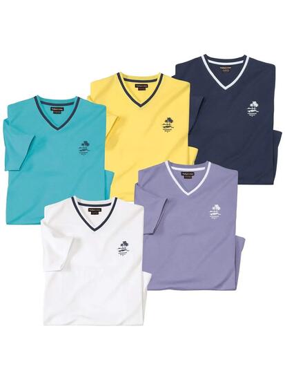 Lot de 5 Tee-shirts Unis Col V