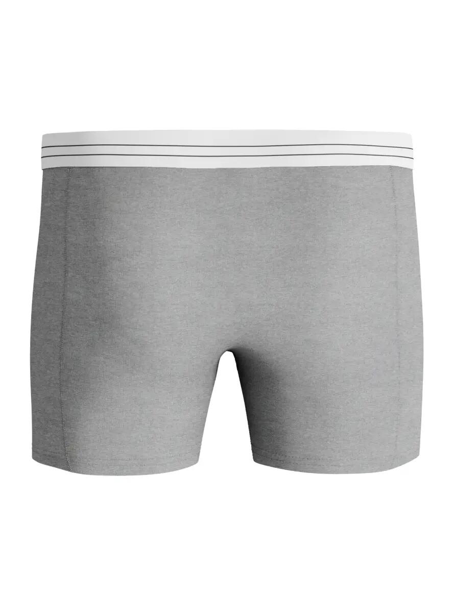 bjorn_borg Boxer VISCOSE COTTON BLEND 2er-Pack — LENZING ECOVERO 3/4