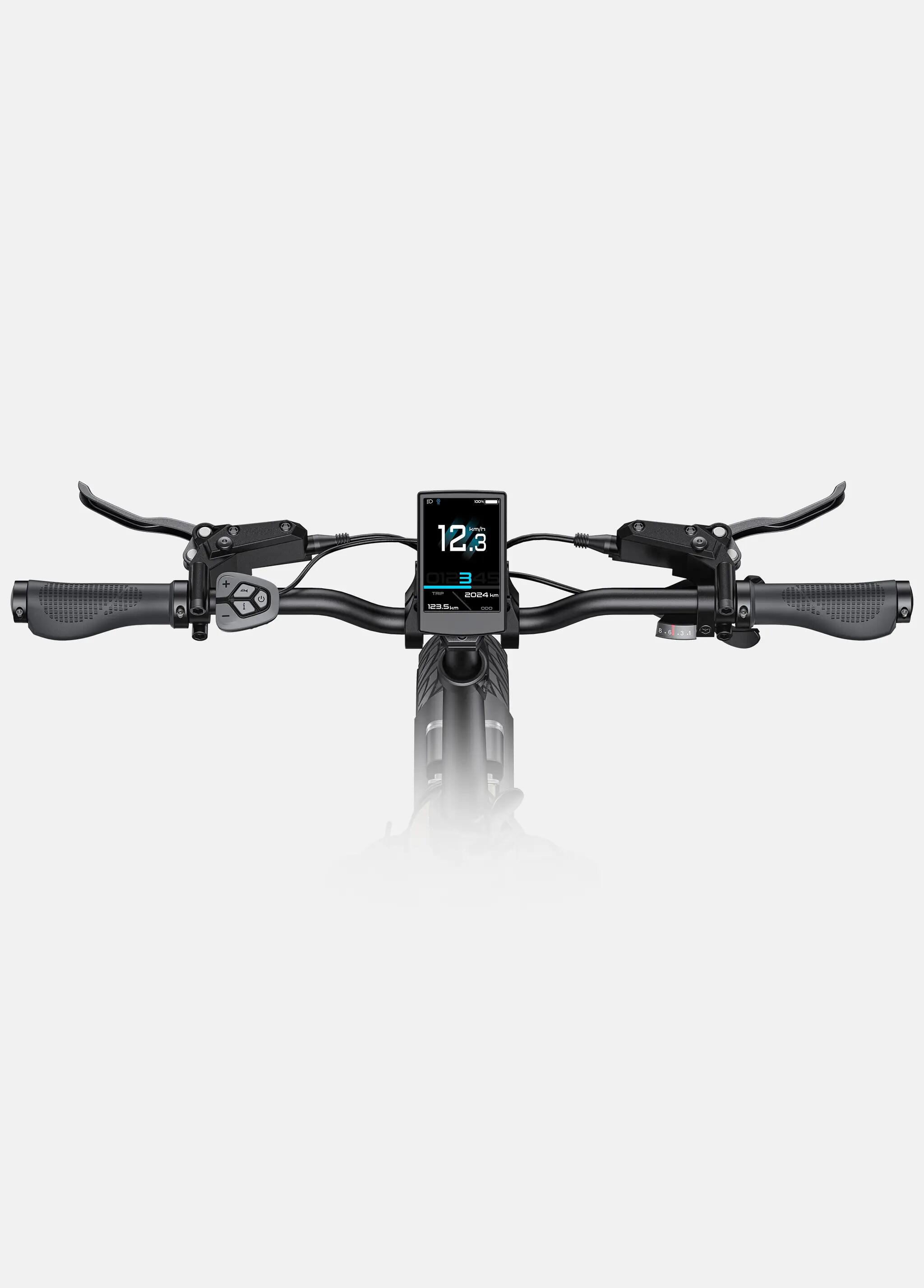 ENGWE L20 3.0 PRO 250W 160km Bicicleta urbana elétrica dobrável 8/8