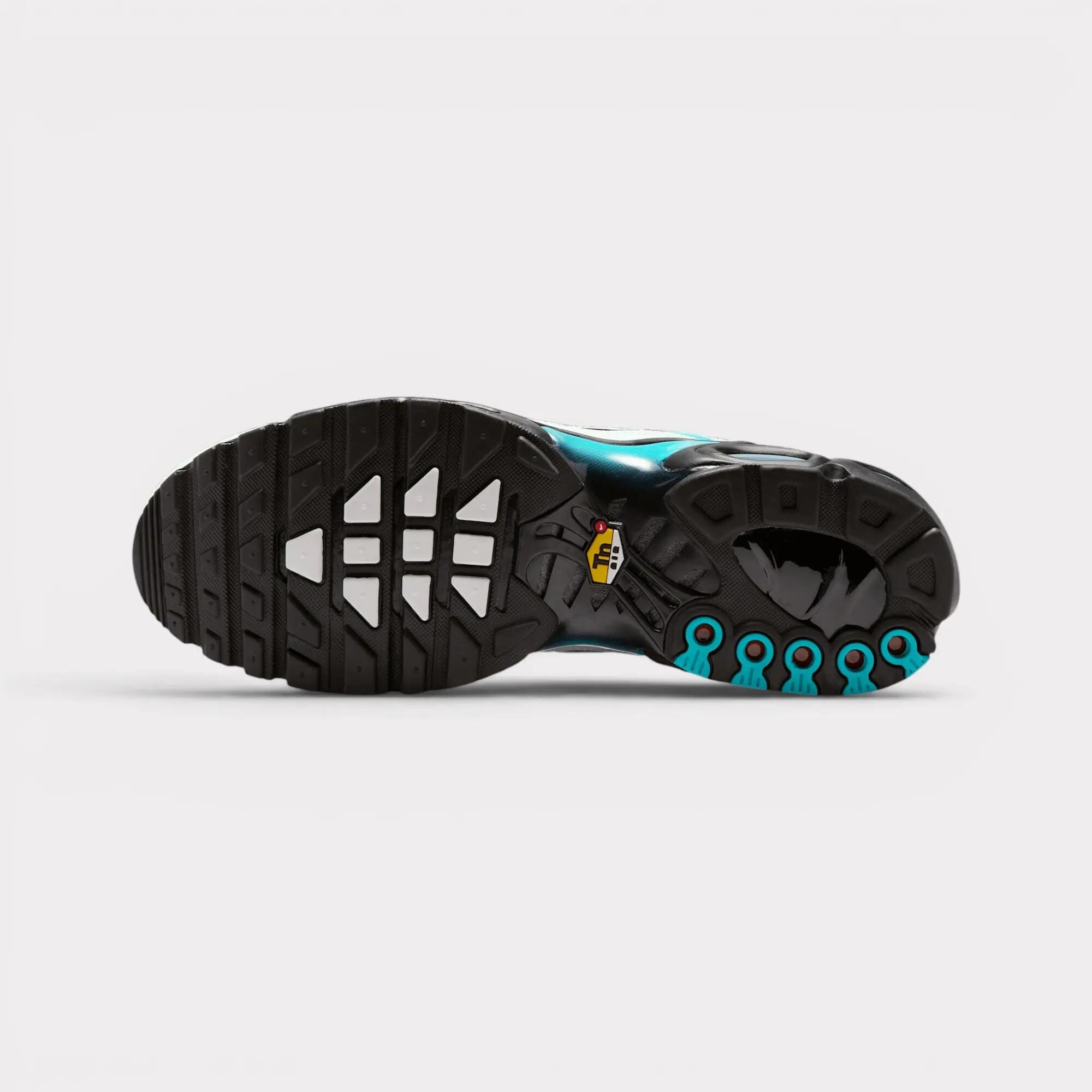Nike Air Max Plus - Dusty Cactus 6/7