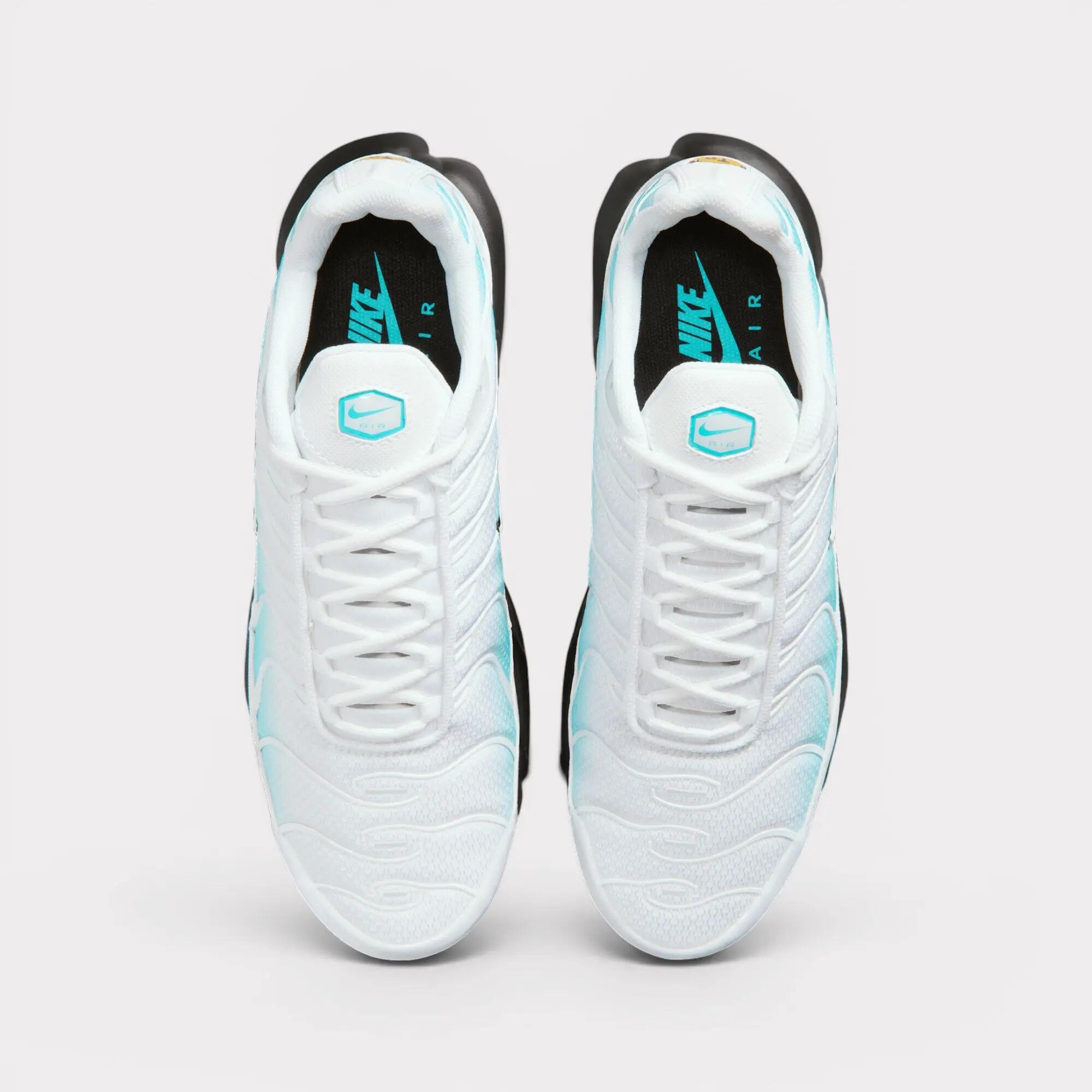 Nike Air Max Plus - Dusty Cactus 5/7