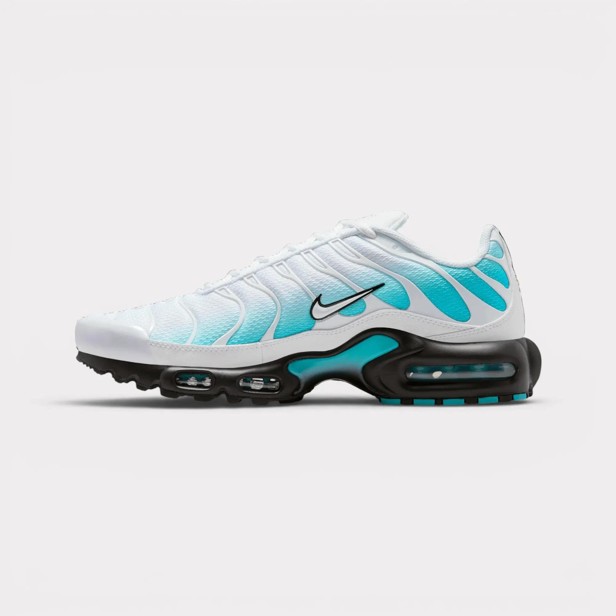Nike Air Max Plus - Dusty Cactus 3/7