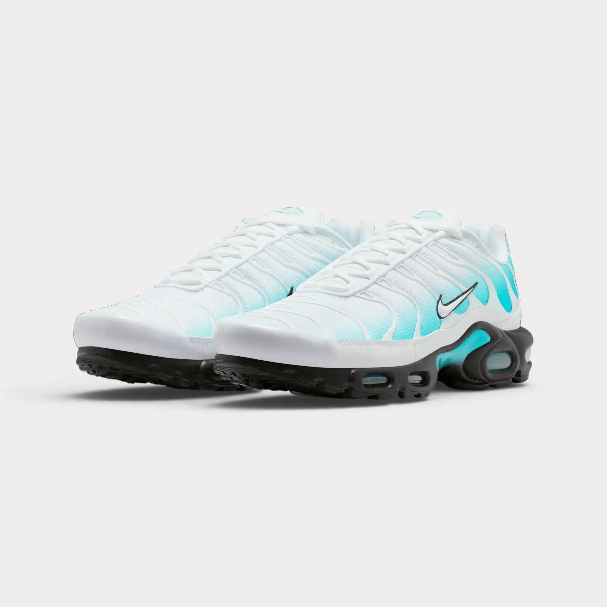 Nike Air Max Plus - Dusty Cactus 2/7
