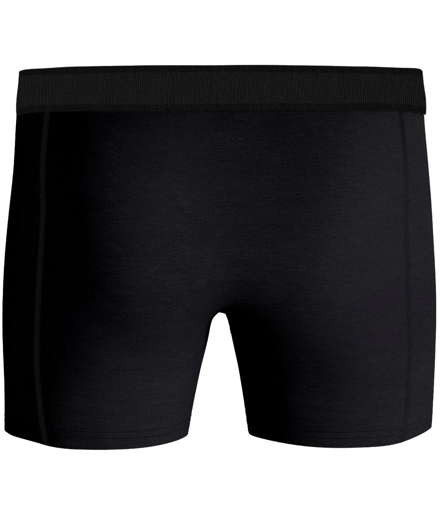 bjorn_borg PERFORMANCE MERINO WOOL BLEND BOXER 1p nero 2/2