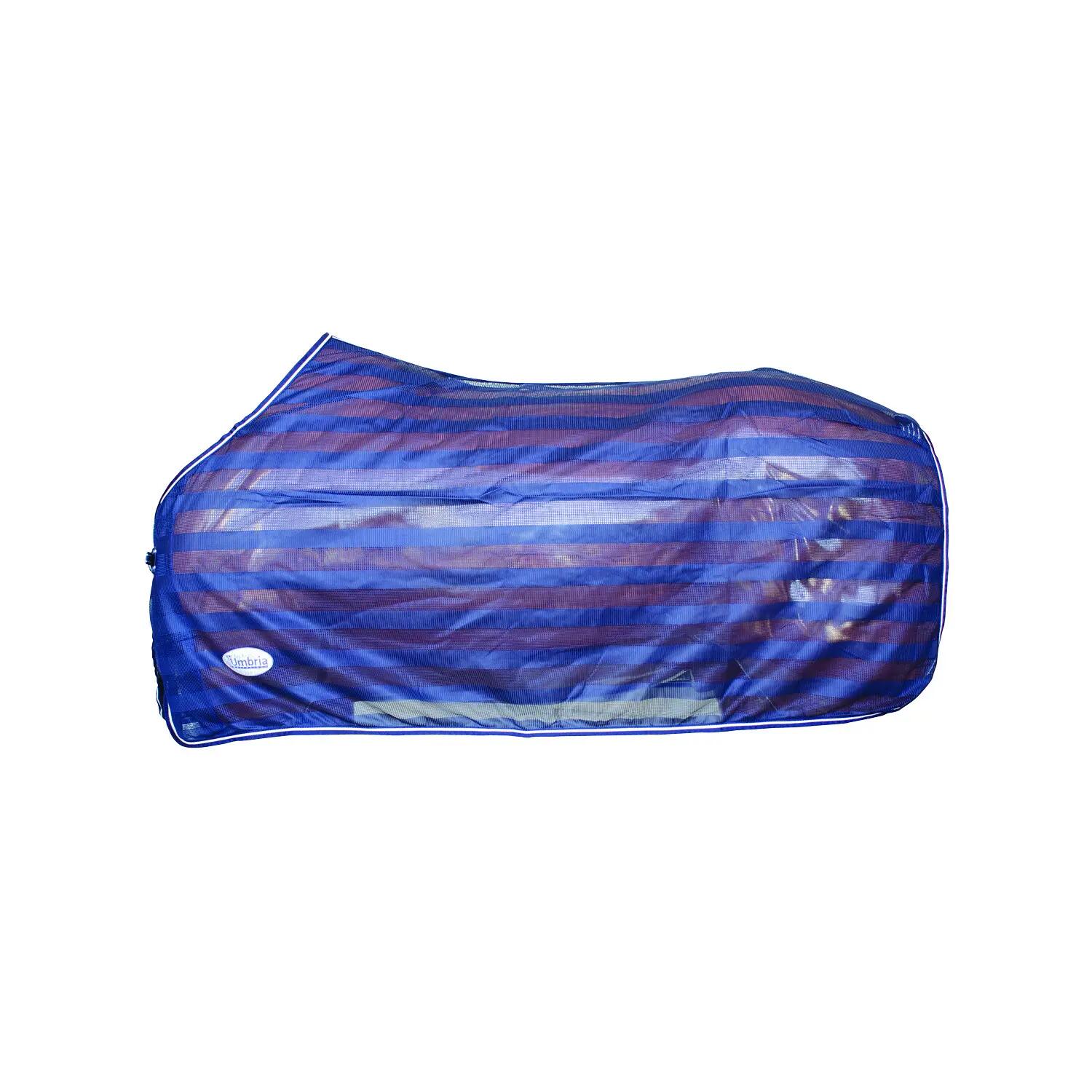 UMBRIA EQUITAZIONE picture