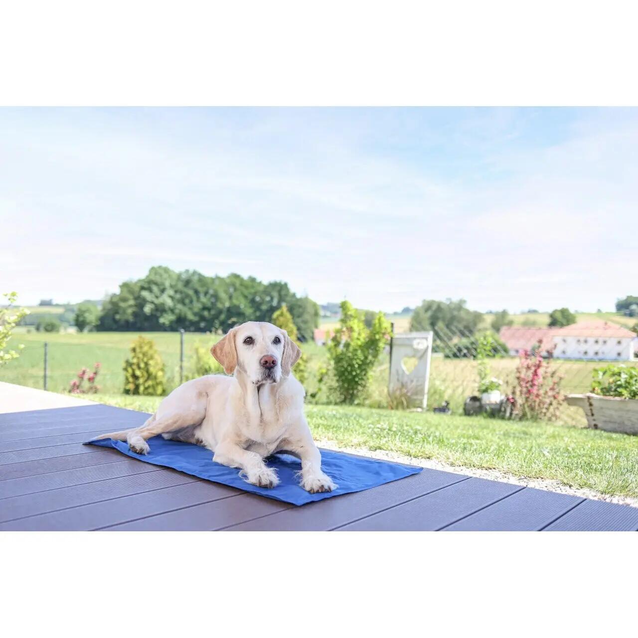 Tappetino rinfrescante per cani Kerbl CoolRelax 3/3