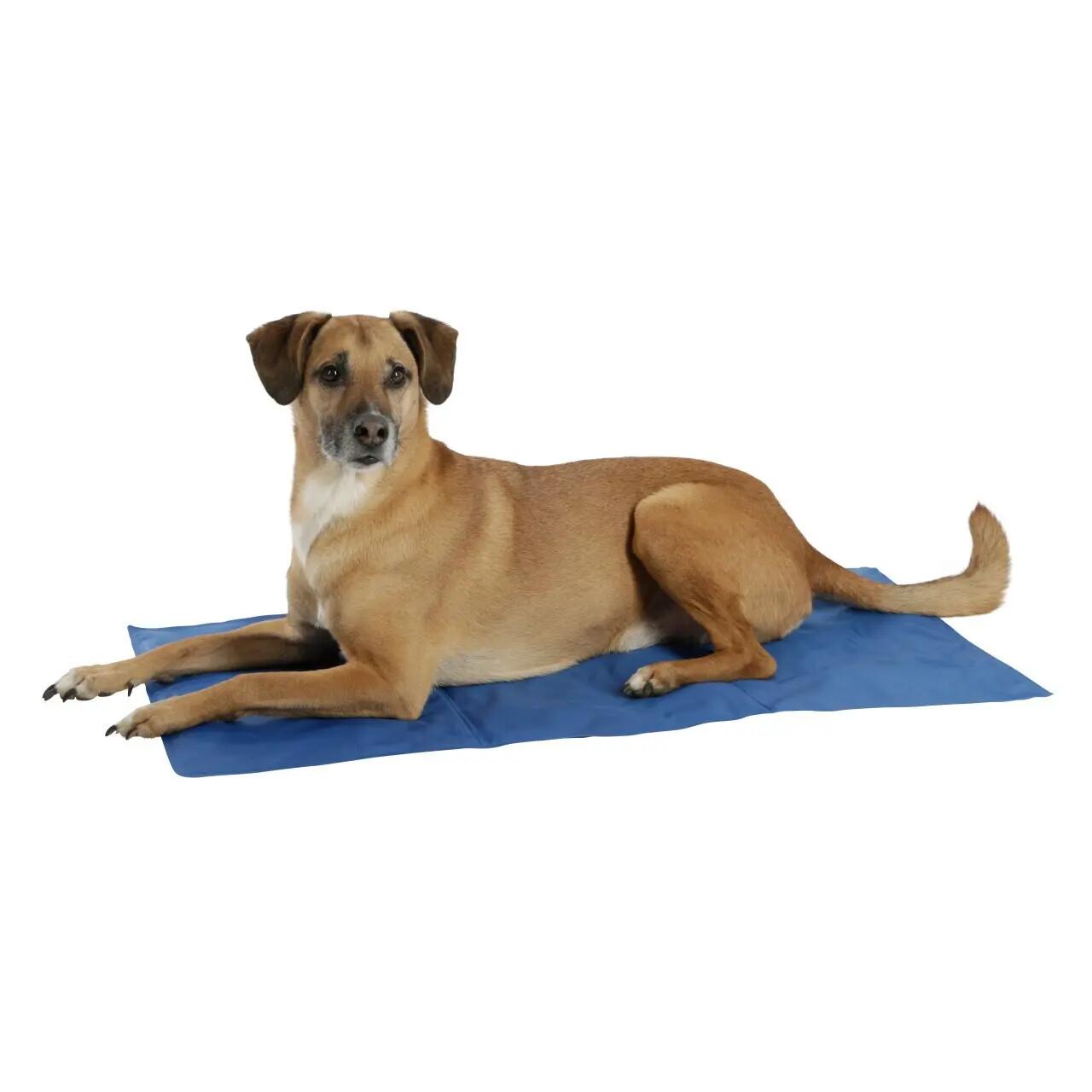 Tappetino rinfrescante per cani Kerbl CoolRelax 2/3