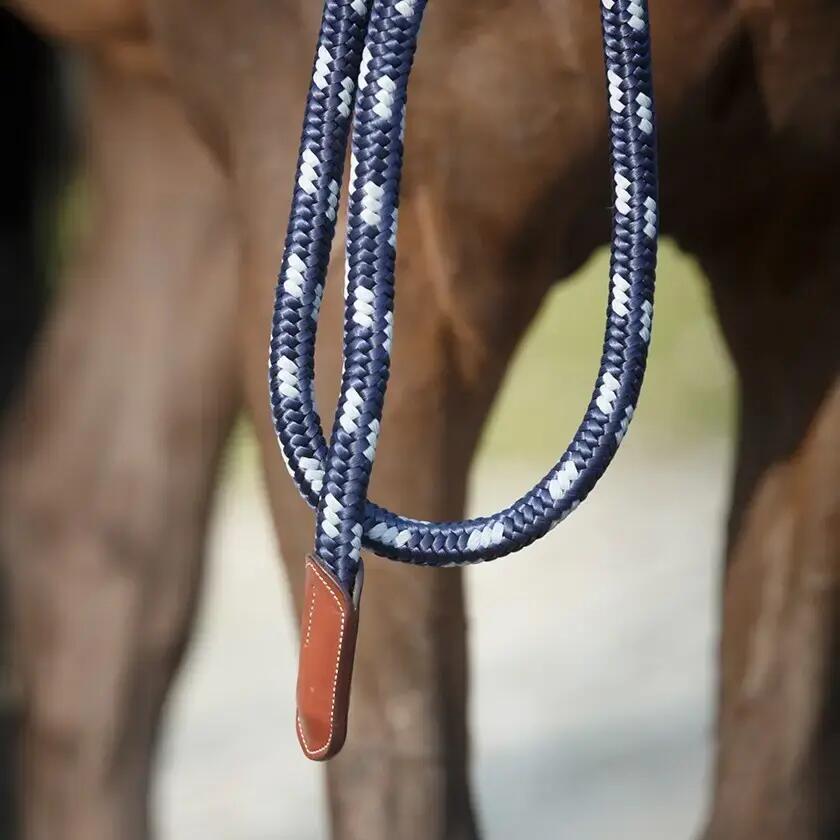Longe équitation Antarès 2/2