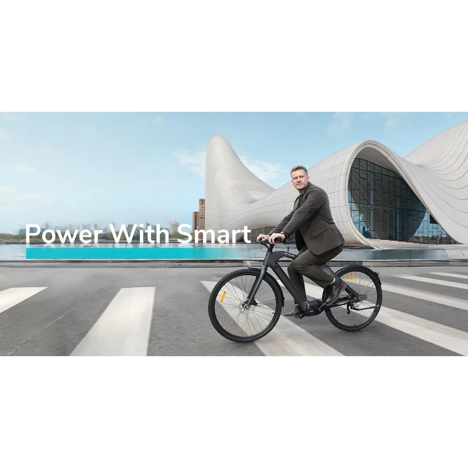 Elektrische fiets voor volwassenen ENGWE N1 Pro, 36V10Ah verwisselbare accu. 12/12