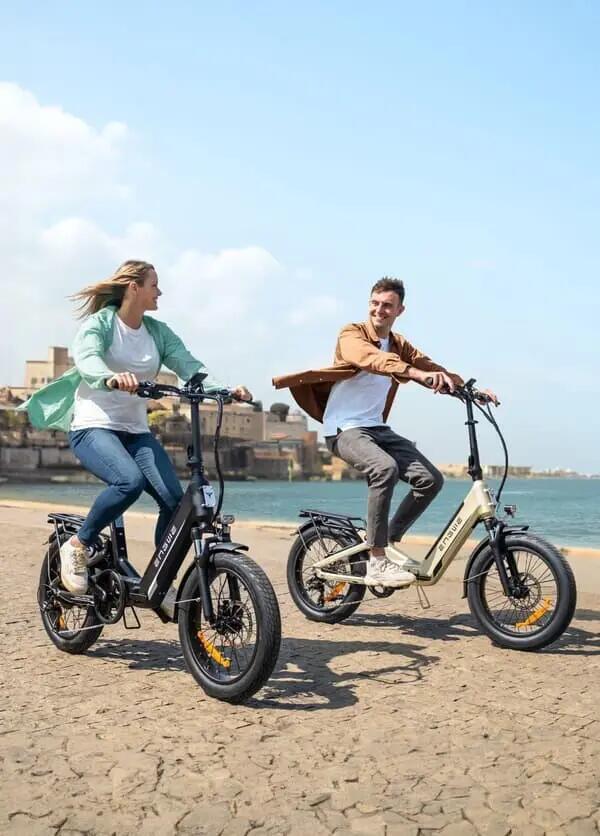 ENGWE L20 3.0 BOOST 250W 135km Bicicleta urbana elétrica dobrável 9/9