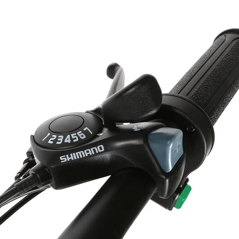 Elektryczny rower dla dorosłych SAMEBIKE 20LVXD30-II 48V 10,4Ah bateria 10/15