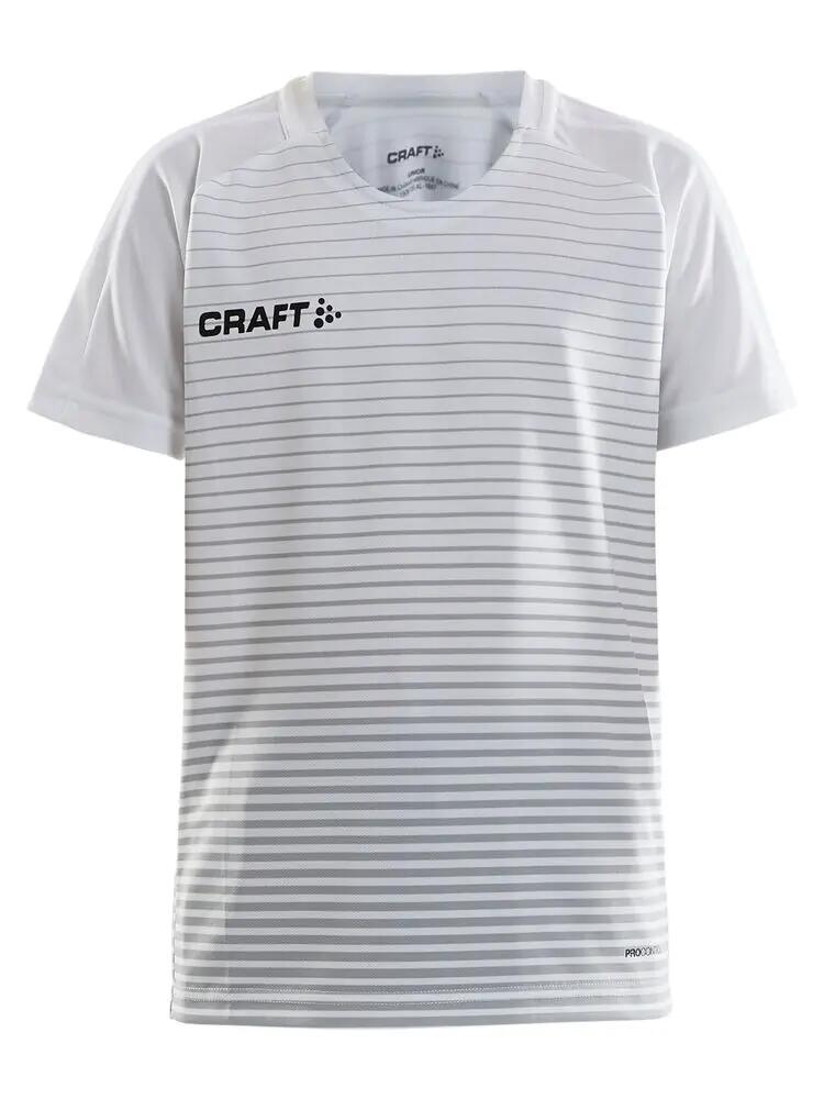 CRAFT picture