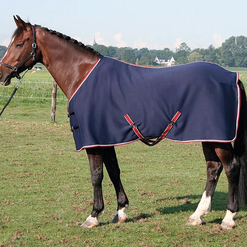 Cooling Rug in Jersey Harry's Horse