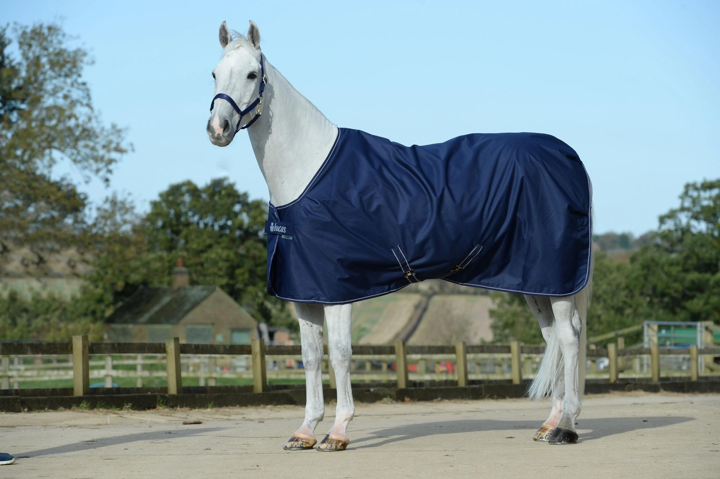 Couverture Bucas Irish Stable Light 50 grammes 2/10