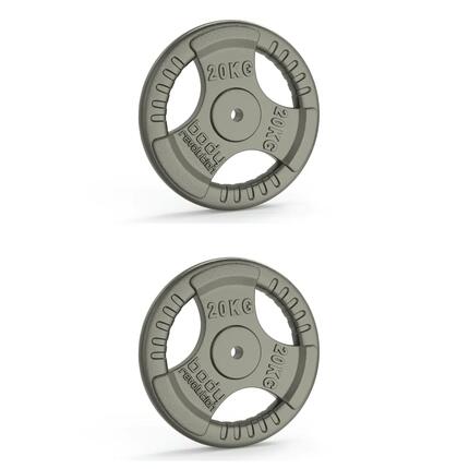 Body Revolution 2 Disques de Musculation en Fonte de 40 kg (2 x 20 kg)