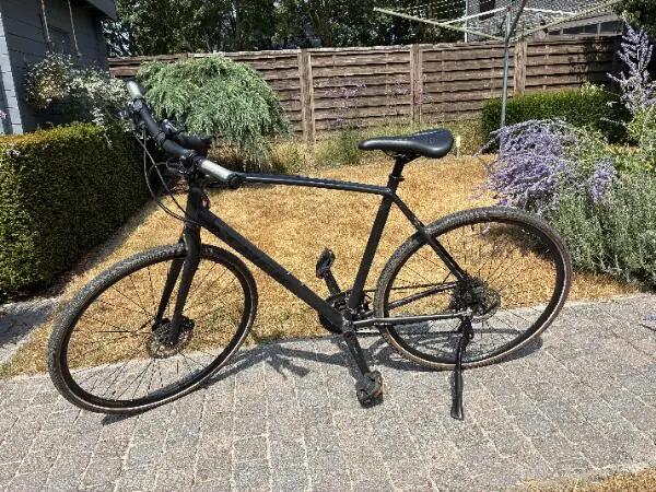 TREK picture