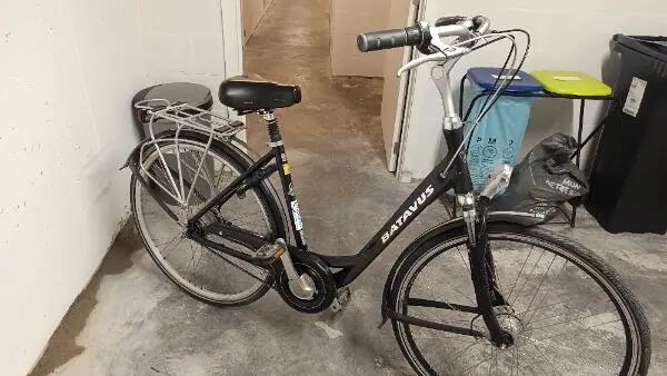BATAVUS picture