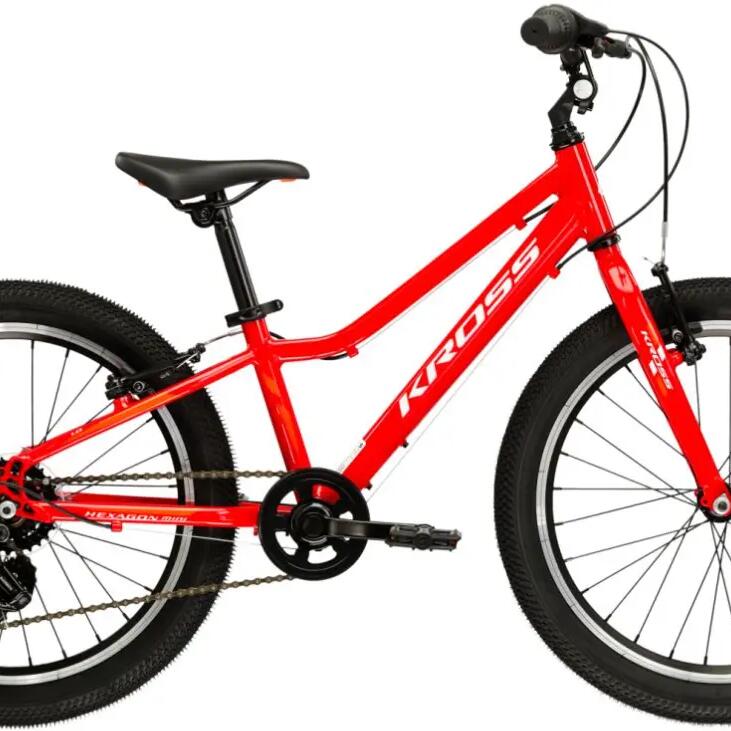 Kids' mountain bike Kross Hexagon Mini 1.0