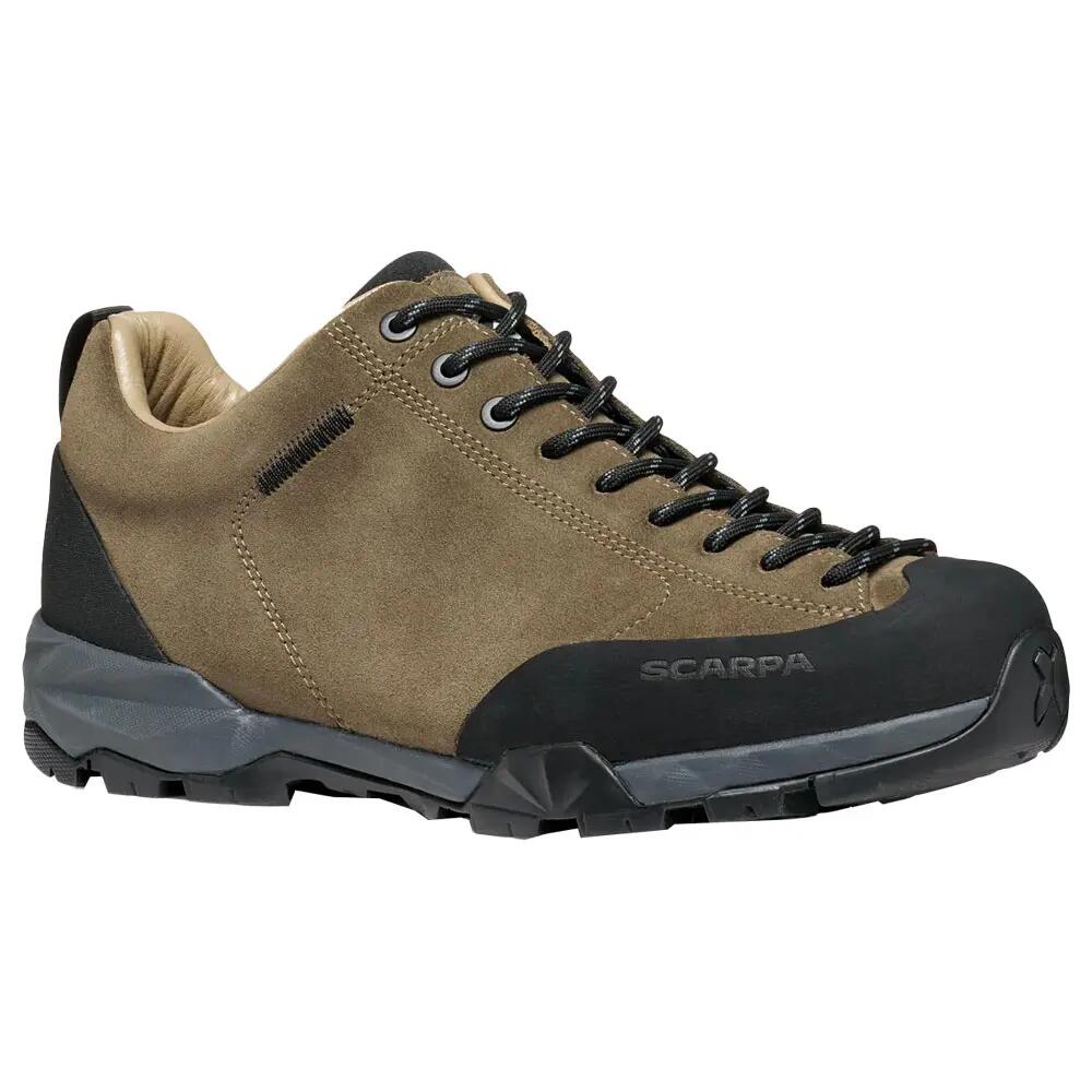 SCARPA picture