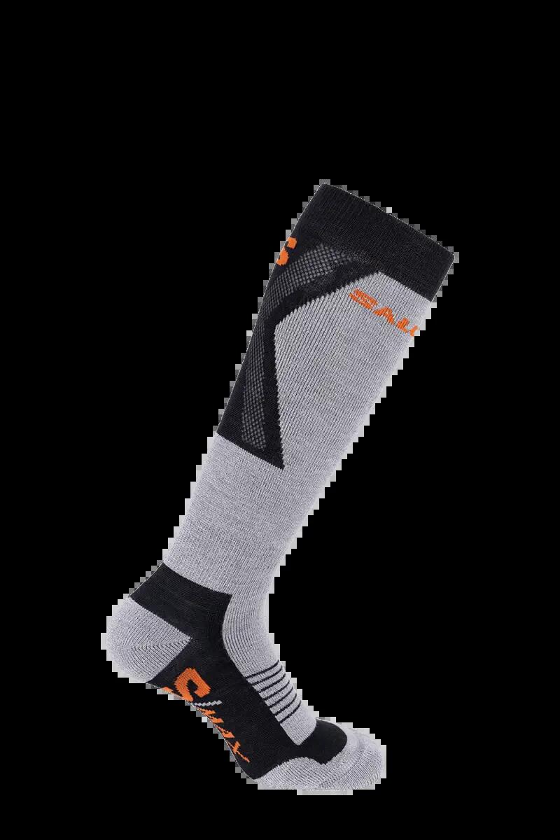 SALOMON picture