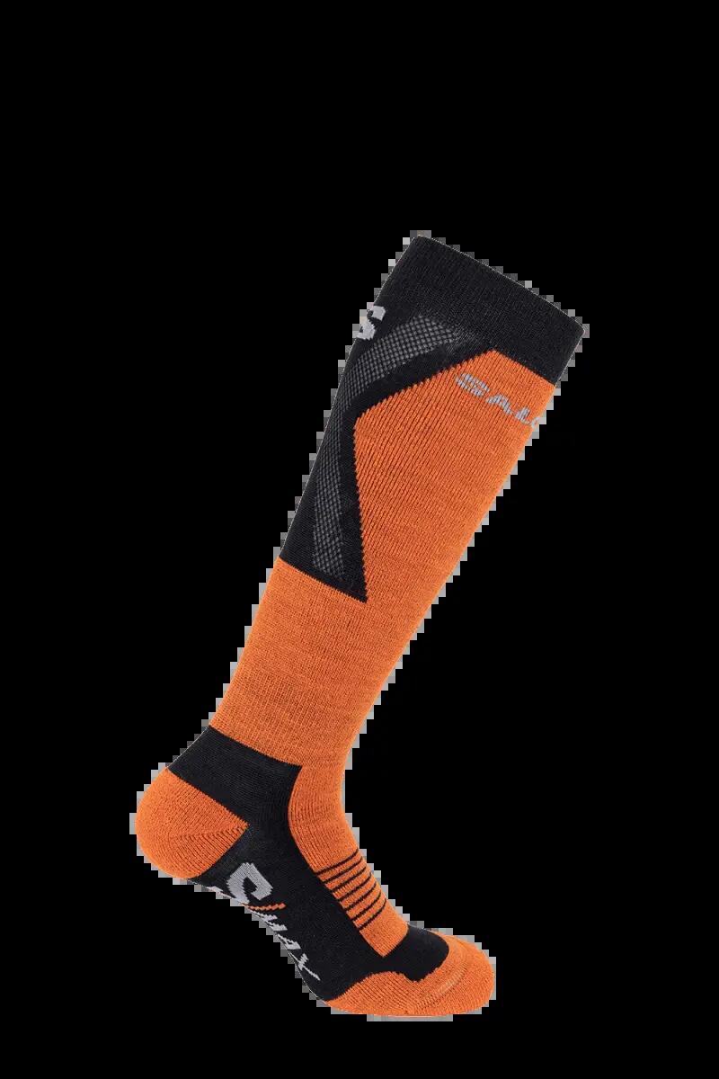 SALOMON picture
