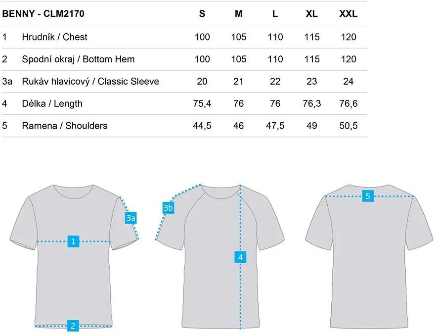 T-shirt męski Loap Benny szary 6/6