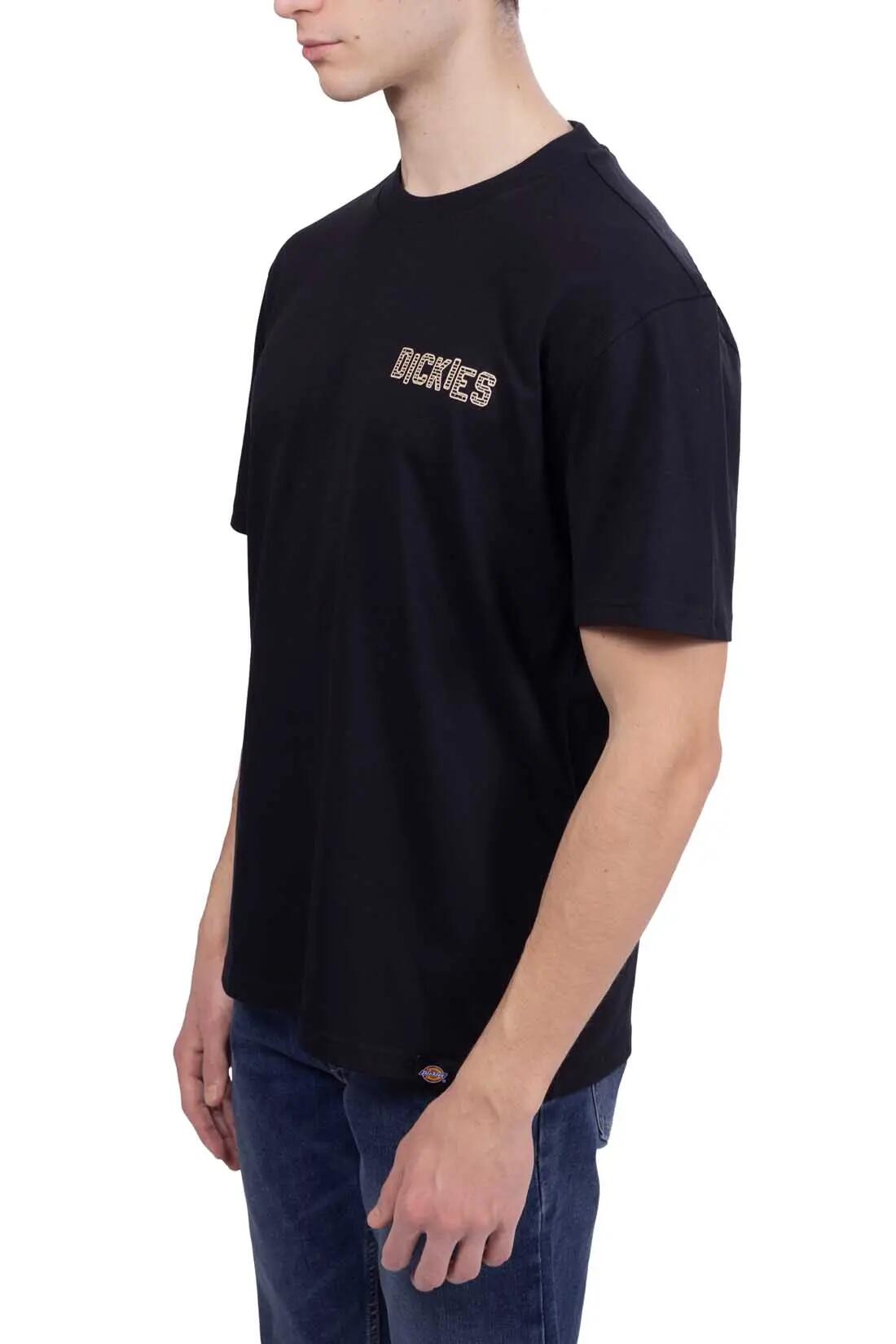 DICKIES picture