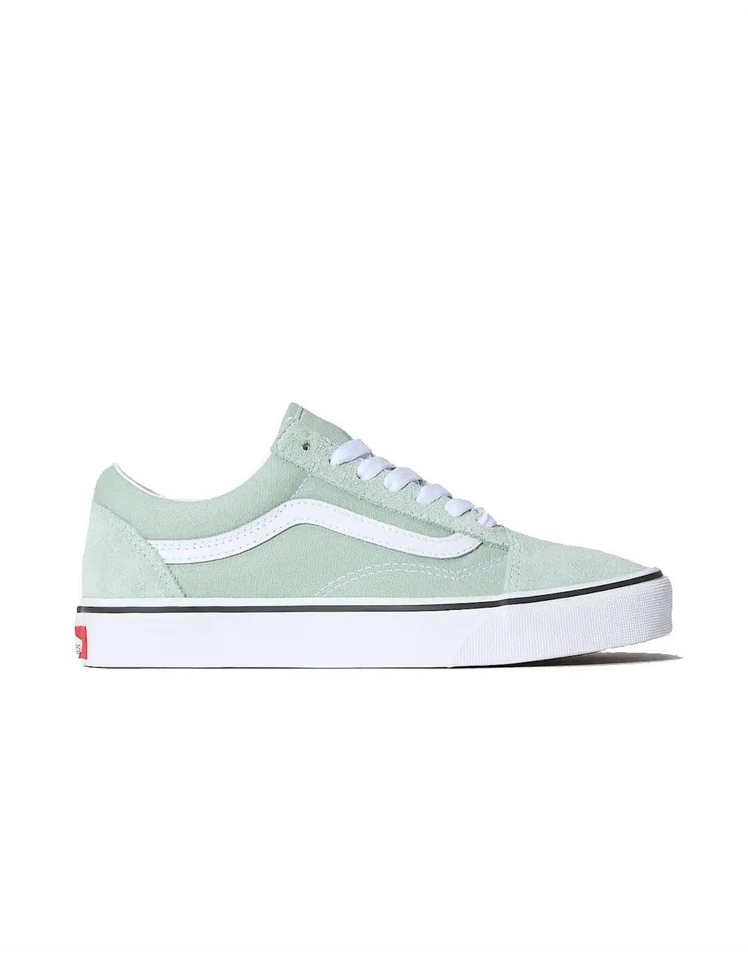 VANS picture