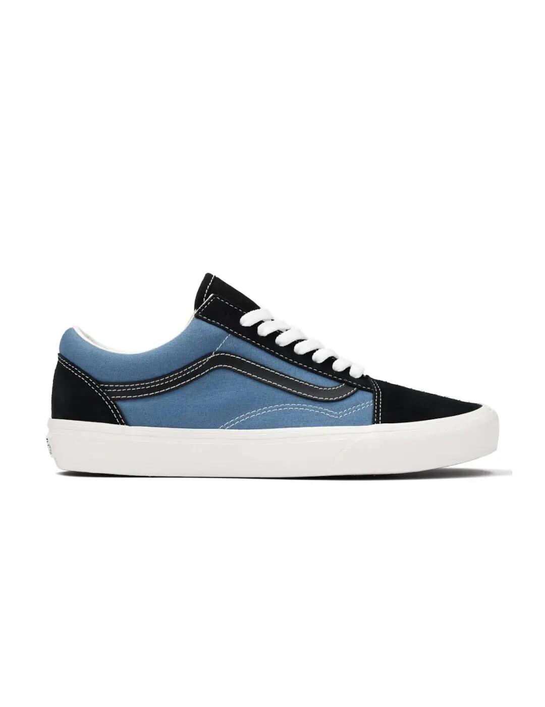 VANS picture