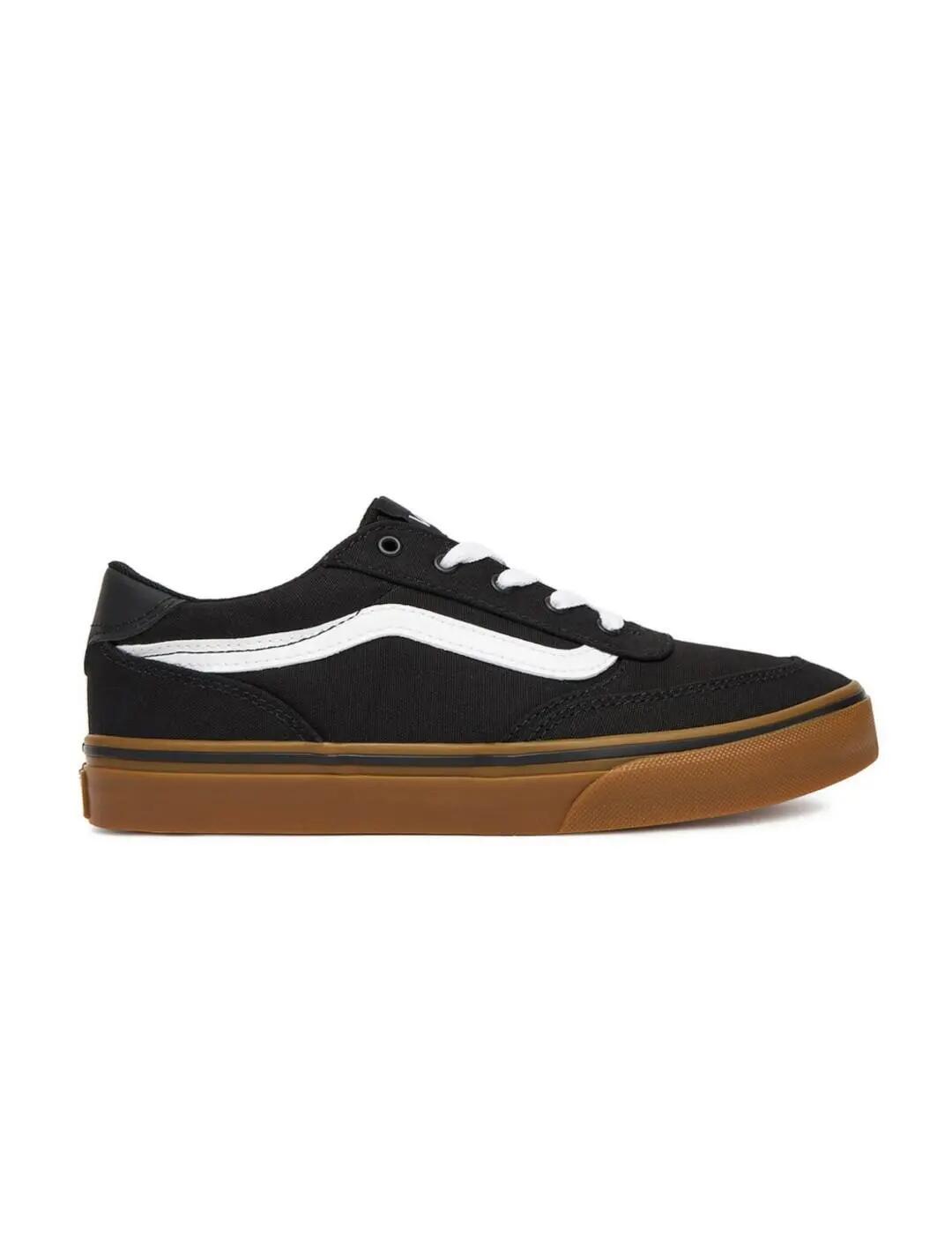VANS picture