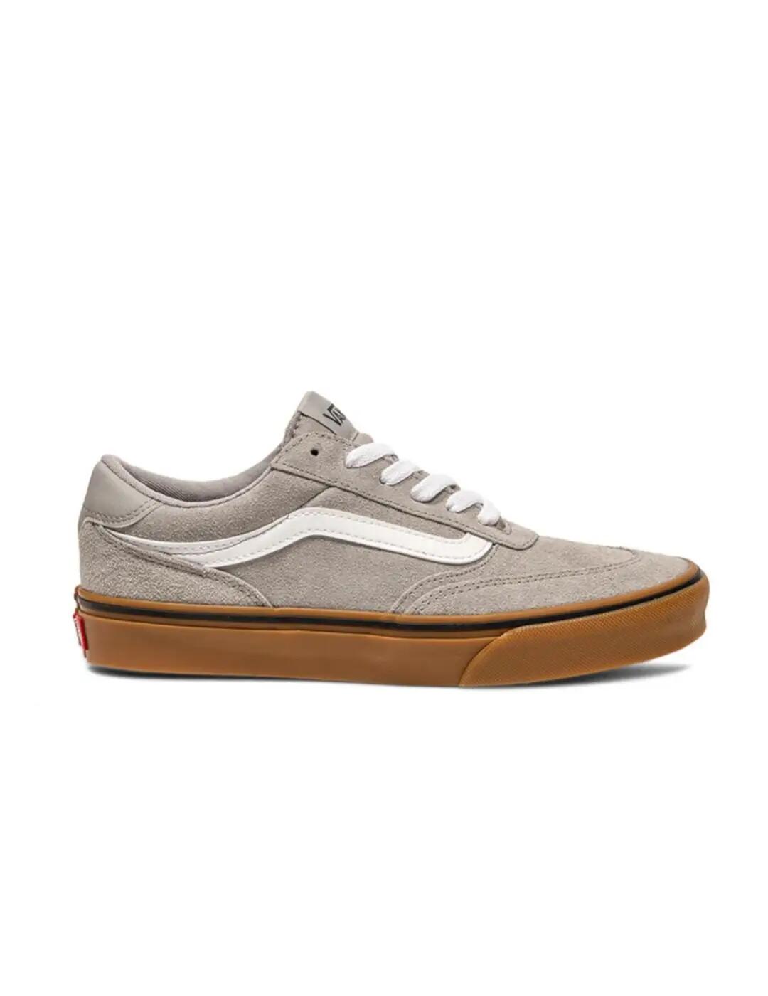 VANS picture